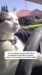 С понедельником нас…