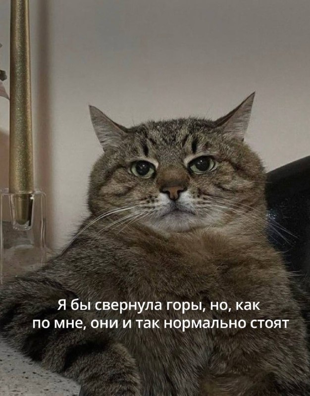 Пятничные настроения …
