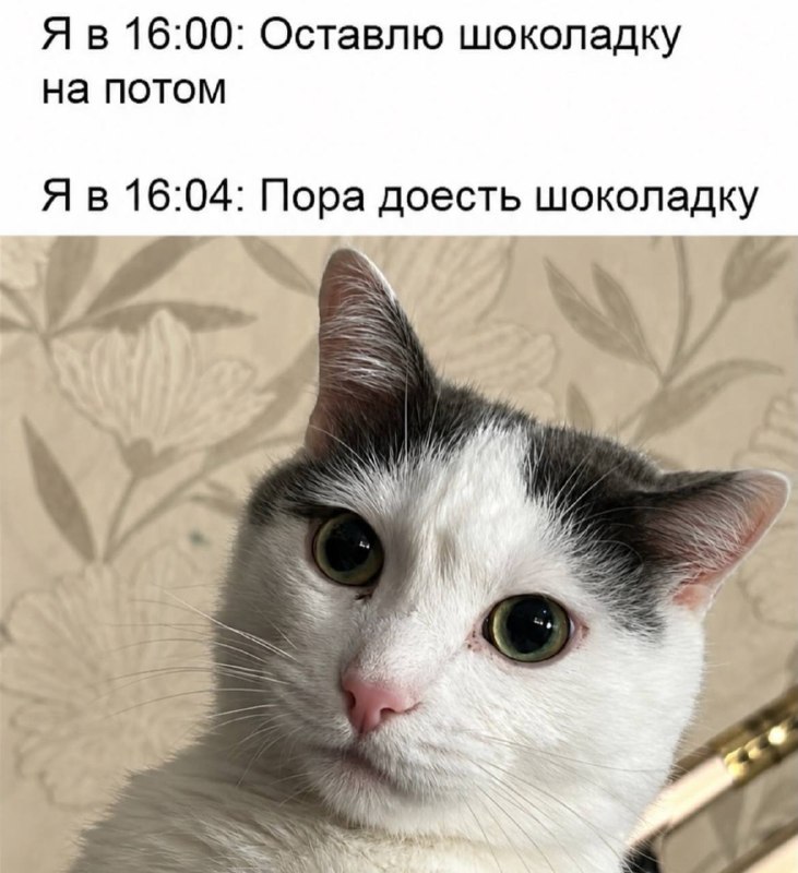 Сила воли…